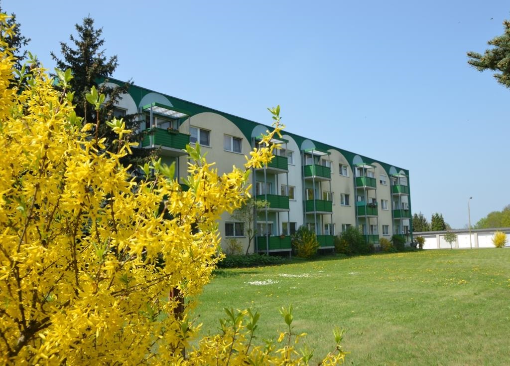 Blumenwiese und Haus